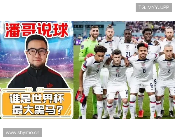 世界杯D组黑马球队竞争环境分析